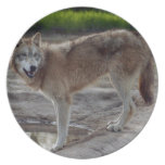grey-wolf-9 plates