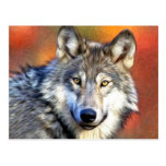 Grey Wolf Art Painting Post Card