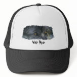GREY WOLF EYES Collection II hats