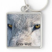 GREY WOLF EYES Wildlife Art Key-chain Key Chain