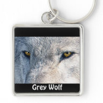 GREY WOLF EYES Wildlife Art Key-chain Keychains