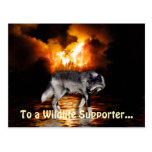 Grey Wolf & Forest Fire Survival Postcards