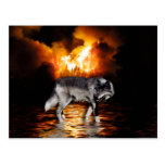 Grey Wolf & Forest Fire Wildlife Photo Postcards