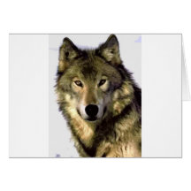 Grey Wolf Greeting Card
