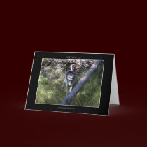 GREY WOLF Greeting or Note Cards by RavenSpiritPrints GREY WOLF Greeting or Note Cards