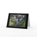 GREY WOLF Greeting or Note Cards
