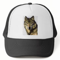 Grey Wolf Hat