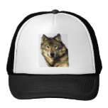 Grey Wolf Hat