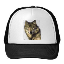 Grey Wolf Hat