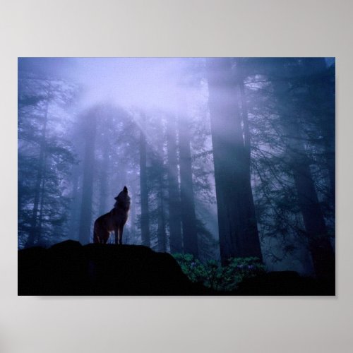 Grey Wolf Howling At Dawn print