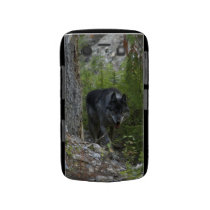 Grey Wolf in Forest Wildlife Photo Blackberry Case