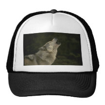 Grey Wolf Mesh Hat