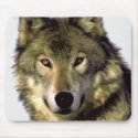 Grey Wolf mousepads by hizli_art Grey Wolf mousepads