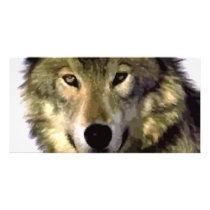 Grey Wolf Photo Cards