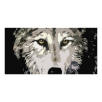 Grey Wolf photo cards by hizli_art Grey Wolf photo cards