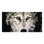 Grey Wolf Photo Greeting Card