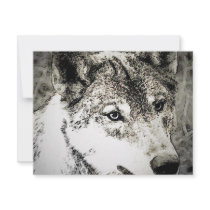 Grey Wolf Portrait Custom Announcement