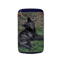 Grey Wolf Portrait Wildlife Photo Blackberry Case