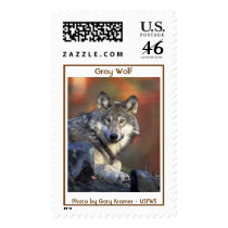 Grey Wolf postage