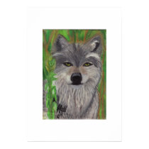 GREY WOLF posters