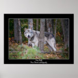 Grey Wolf Poster