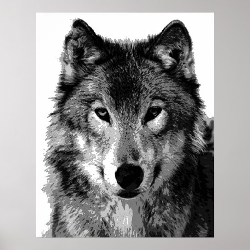 Crazy image pertaining to printable wolf pictures Gargantuan image for printable wolf pictures