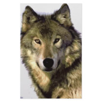Grey Wolf Stationery Design