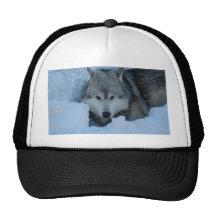 Grey wolf trucker hat