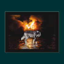 Grey Wolf & Wildfire Survivor Postcards postcards