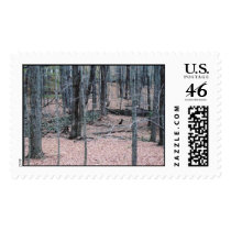 Grey Wood postage by AmyZhang Grey Wood postage