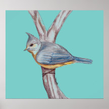 GreyCrested Bird Posters