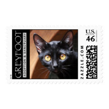 Greyfoot Cat Rescue Bombay Cat Stamp