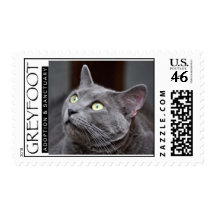 Greyfoot Cat Rescue Russian Blue Stamp