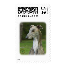 Greyhound 9J008D-04 Postage Stamp