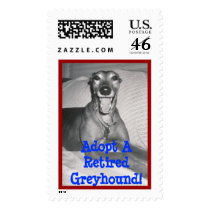 Greyhound Adoption Awareness Stamp
