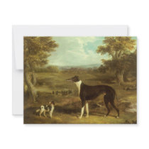 Greyhound and Spaniel; Doctor Fop by Herring Personalized Invitations