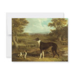 Greyhound and Spaniel; Doctor Fop by Herring Personalized Invitations