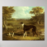 Greyhound and Spaniel; Doctor Fop by Herring Poster