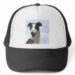 Greyhound Black & White Noel2