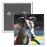 Greyhound button