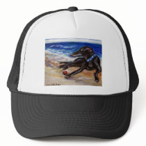 Greyhound by the sea hats