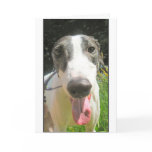 Greyhound Card