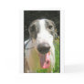 Greyhound Card