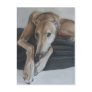 Greyhound Dog Art Postcard