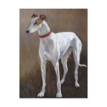 Greyhound Dog Art Postcard
