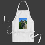 Greyhound Dog Art - Teddy Aprons