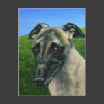 Greyhound Dog Art - Teddy Post Cards