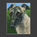 Greyhound Dog Art - Teddy Postcards