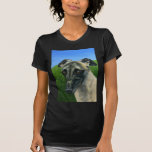 Greyhound Dog Art - Teddy T Shirts