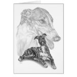 Greyhound Dog Drawing by Kelli Swan cards